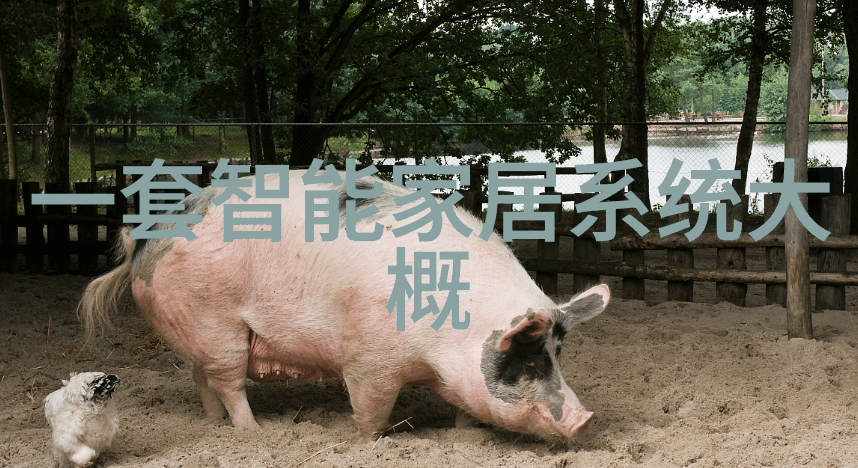 水质检测费一般是多少我来告诉你这件事