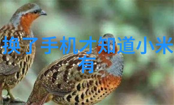 主题我是商用密码测评师了