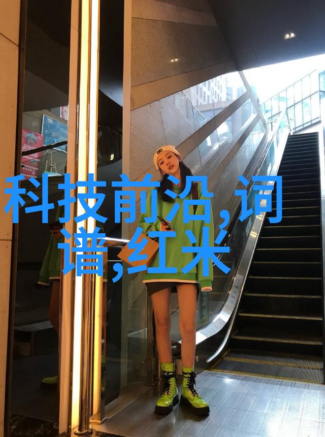 混乱之中寻找秩序环填料的反差世界