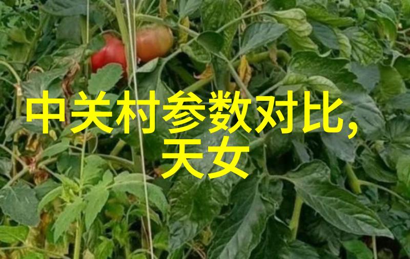 大型微波干燥设备如何提高食品加工效率