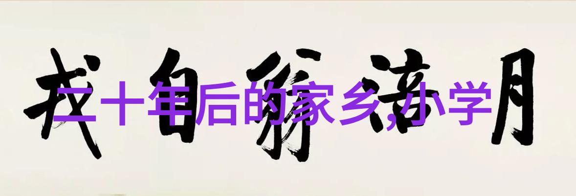 乱堆填料与规整填料的区别及其应用前景