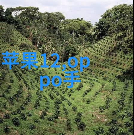 废气处理系统工艺流程图高效环保清洁能源技术