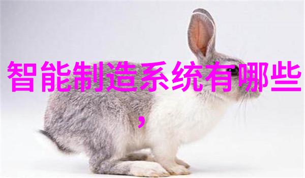 高效生产技术填料丝网设备的创新应用