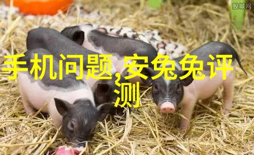 鄂州父女共赴瓜果盛会一份珍贵的记忆与百度云中的PDF文件压缩包