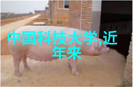 一千多买一个华为手表它就像是一颗精巧的钻石璀璨夺目让你的生活变得更加光彩照人