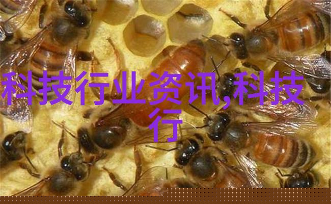 中国设备网网站我是怎么在这里找到了我的心仪机器人