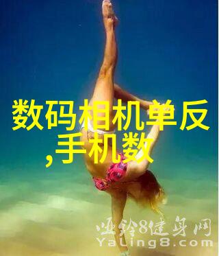 专业选材了解PE管材厂家的选择标准
