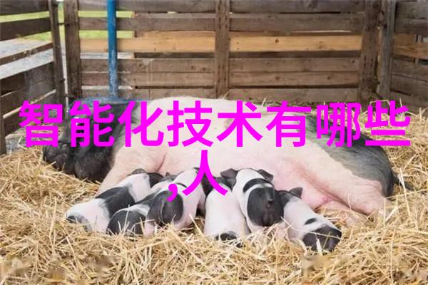 家庭中医宝家用中药萃取机的便捷与智慧