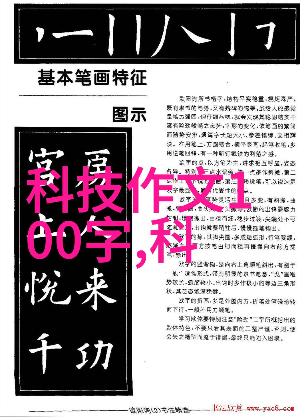 德国矿泉水全自动生产线精密工艺与环保创新