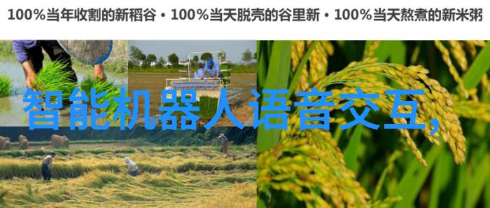 多功能流化床技术的核心原理与应用概述