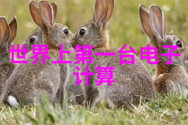 皮带输送机设备我来告诉你它是如何工作的