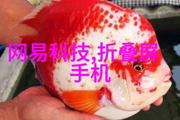 视频画面缓缓下移映照着他微妙的动作他的手指轻触屏幕一点一点地向下滑动仿佛在讲述着一个不为人知的故事在