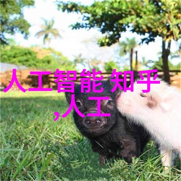 防水之巅劳亚尔的守护神