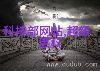 建设工程项目管理规范-精准指挥高效实施建设工程项目管理规范