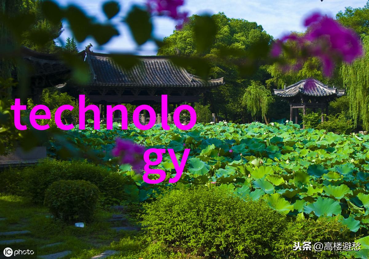 化工卫生阀安全防护之谜