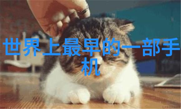 仪器仪表属于电子元器件吗-探究仪器世界电子元器件与非电子元器件的界定