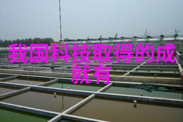 红山学院的财富之城南京财经大学的学术与繁华交响曲