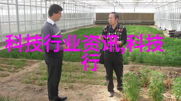 辊压工艺的精髓1012对辊制砂机在建筑材料生产中的应用与优化