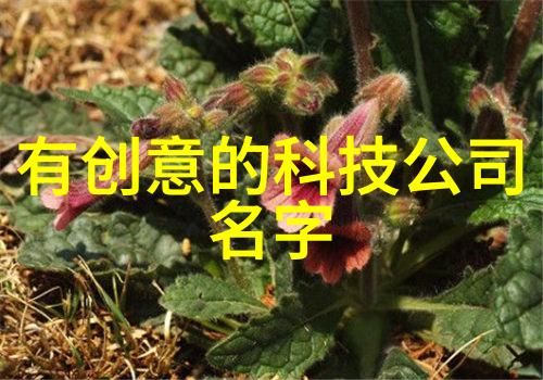 绿色循环油墨废水净化新篇章