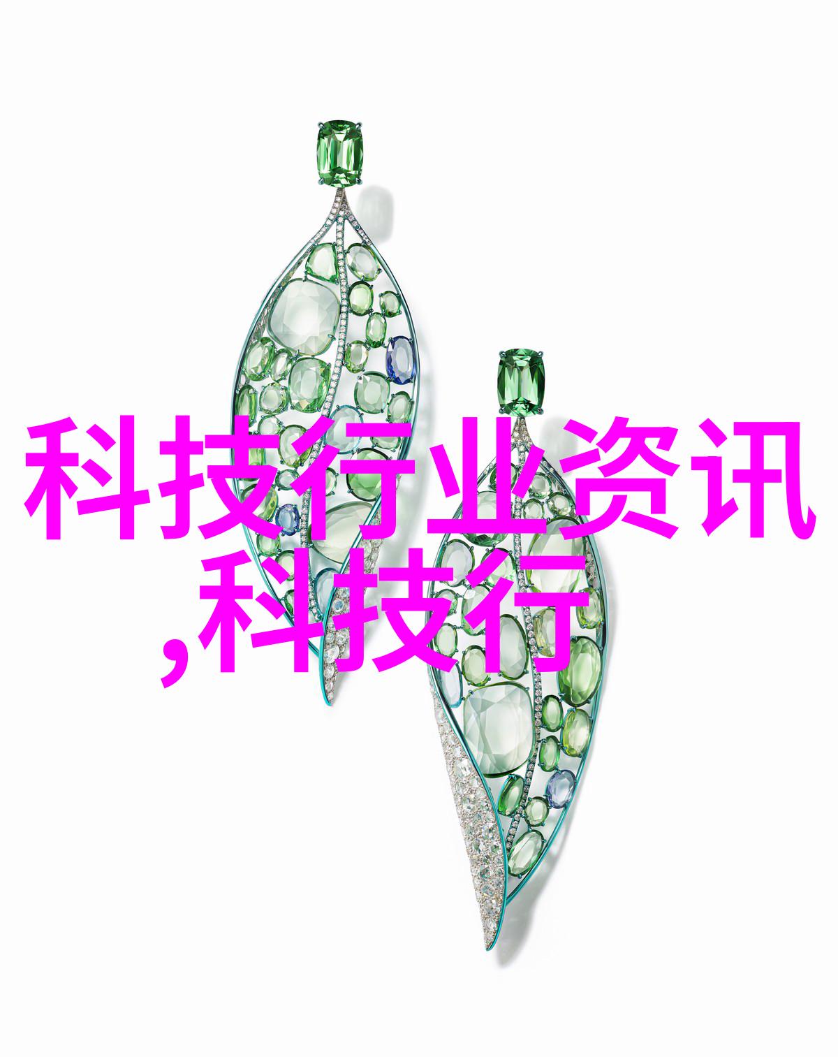 会议请示报告的范文向领导汇报项目进展与需求