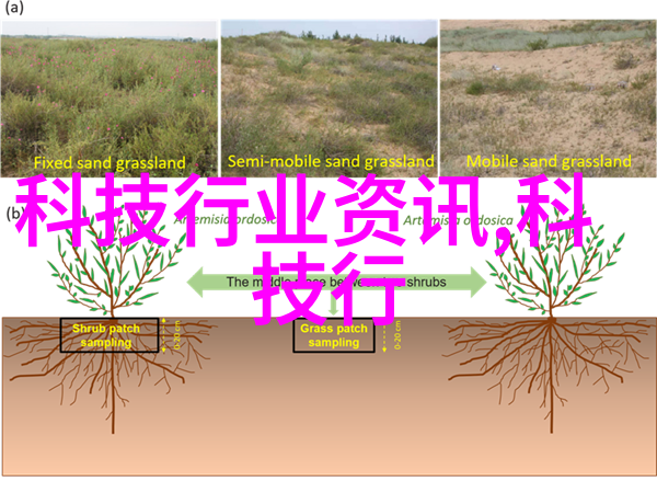 校园里的秘密甜品店白桃松木的糖笔趣阁