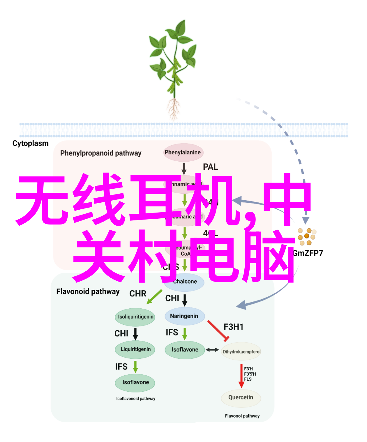 古老森林中的诡异故事令人颤栗的格林童话集