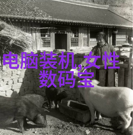 我和亚细亚瓷砖的故事我的家里有了个秘密花园亚细亚瓷砖的魔法