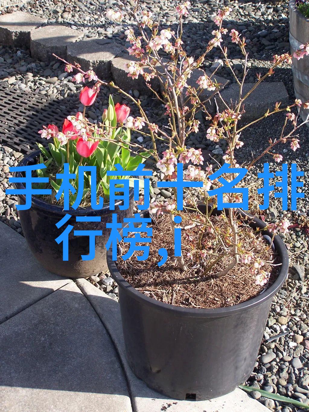 阀门安全操作规程及其重要性解析