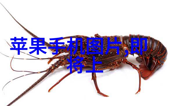 应用abs波纹斜板填料的优势有哪些