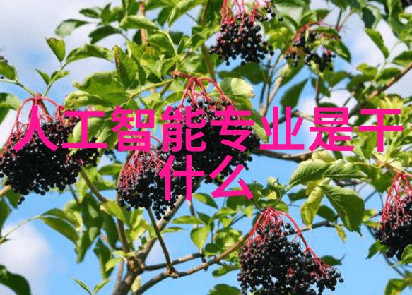 客厅太长怎么设计装修效果图空间利用技巧