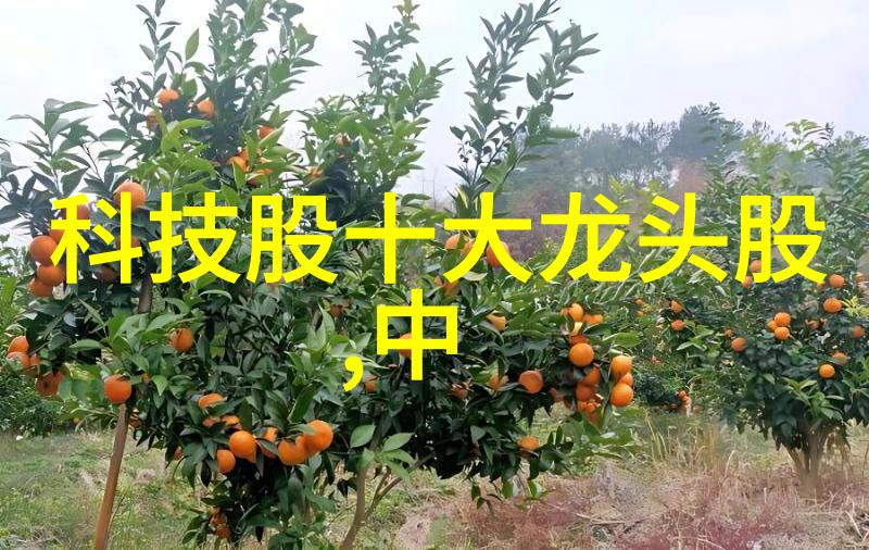 苹果新品发布会重塑科技界的未来之光
