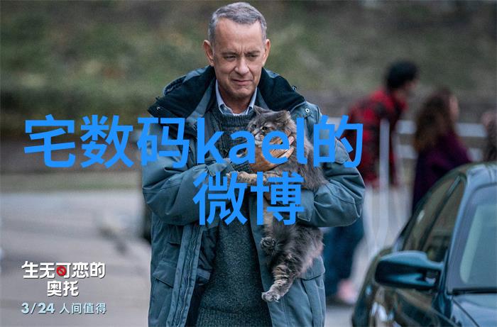 尘埃落定布袋的反差之歌