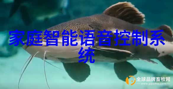 老农民未删减版岁月静好与田野的歌声