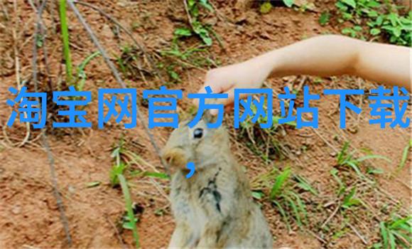 微型浴室艺术2平米卫生间改造奇迹