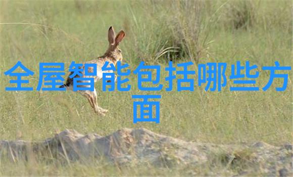 电热蒸汽发生器-高效节能的蒸汽供给解决方案