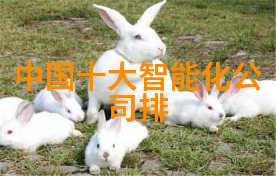 固定床反应器设计优化关键参数与操作条件的综合考量