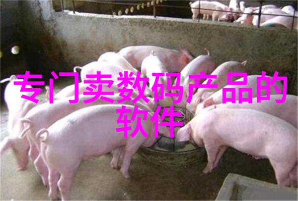最新背景墙装修效果图客厅我是如何把客厅变成视觉盛宴的