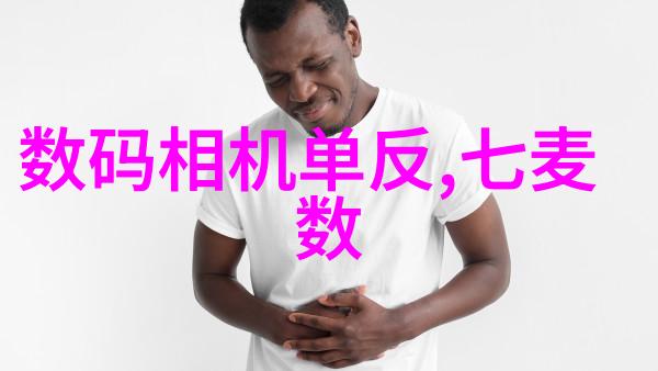 带式干燥机的工作原理与应用