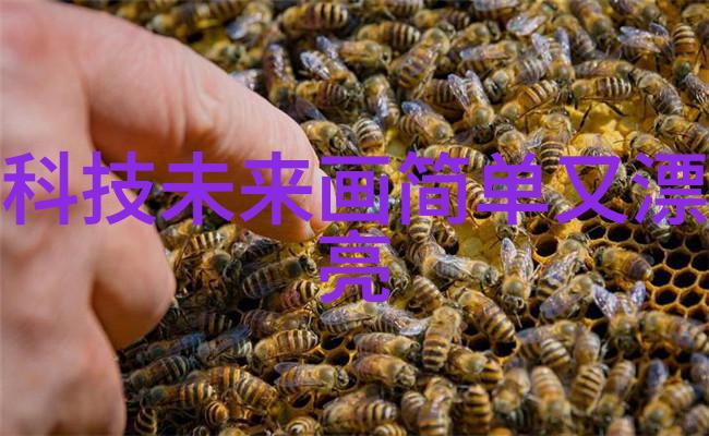 防水施工技术研究与实践探索高效环保的建筑防水解决方案