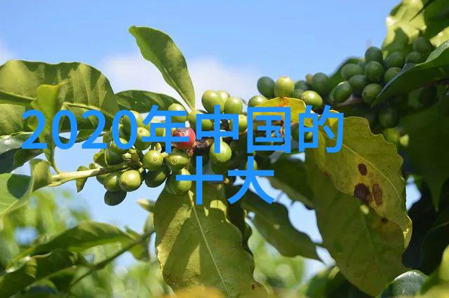 经济实用的自制卫浴产品制作方法