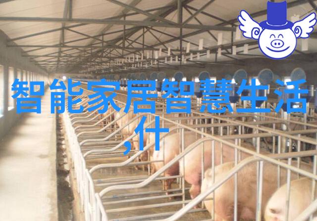 密封件设备保密技术的高峰之作