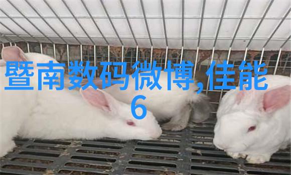 厨房卫生间改造费用预算指南