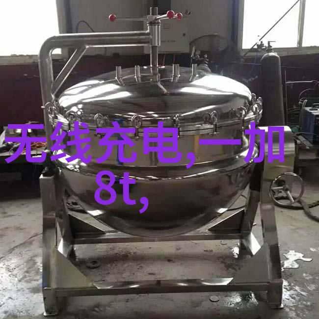 家庭关系的重新审视妈妈与伴侣之间的情感探索