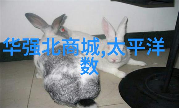 污水净化技术的创新与应用
