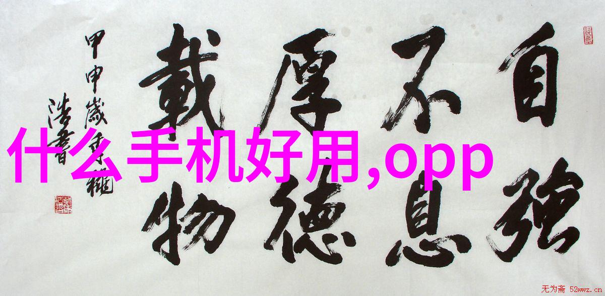 丝网波纹填料型号规格之谜揭开其背后的设计奥秘吗