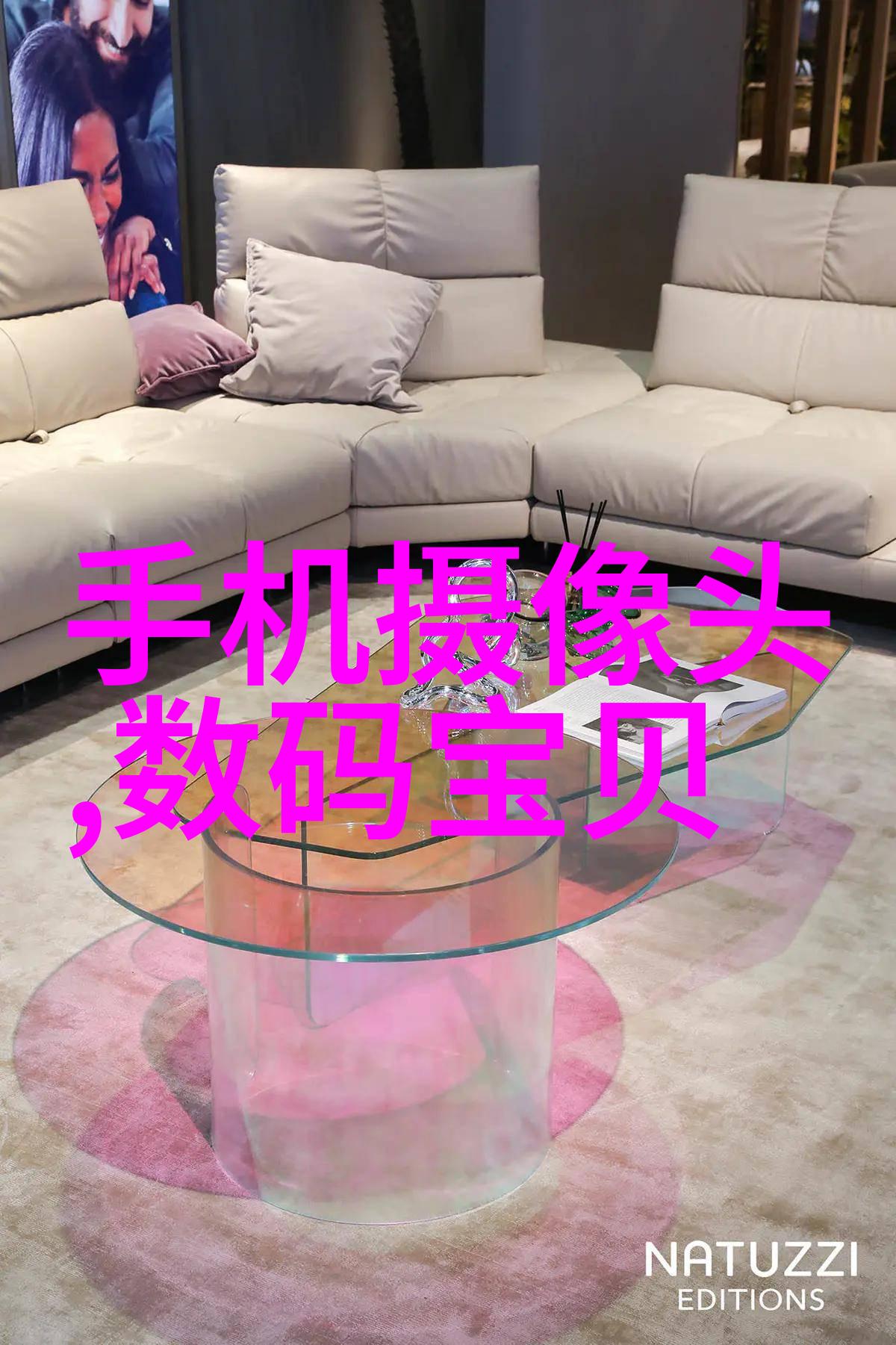 协议类型在数据传输中的作用