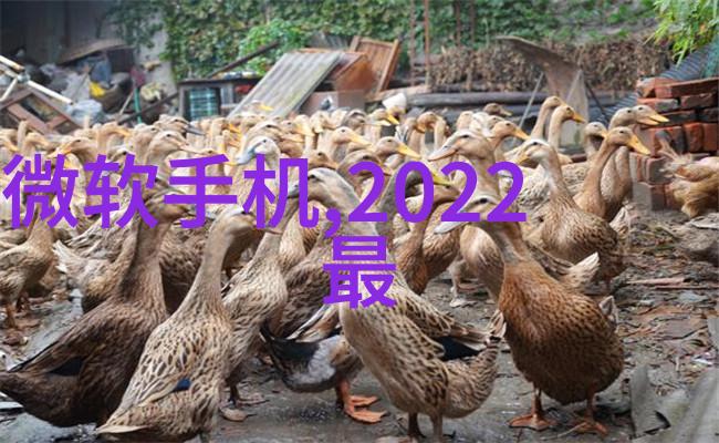 甜蜜家园故事中的温馨角落