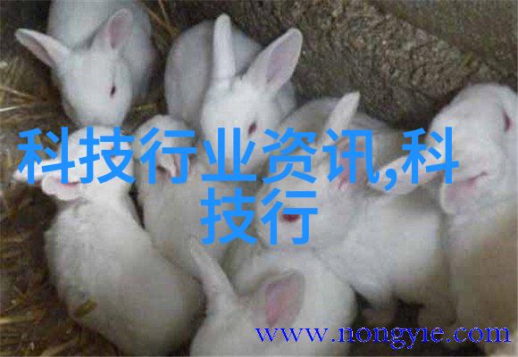 粉土机筛土一体机对环境影响有多大是否环保