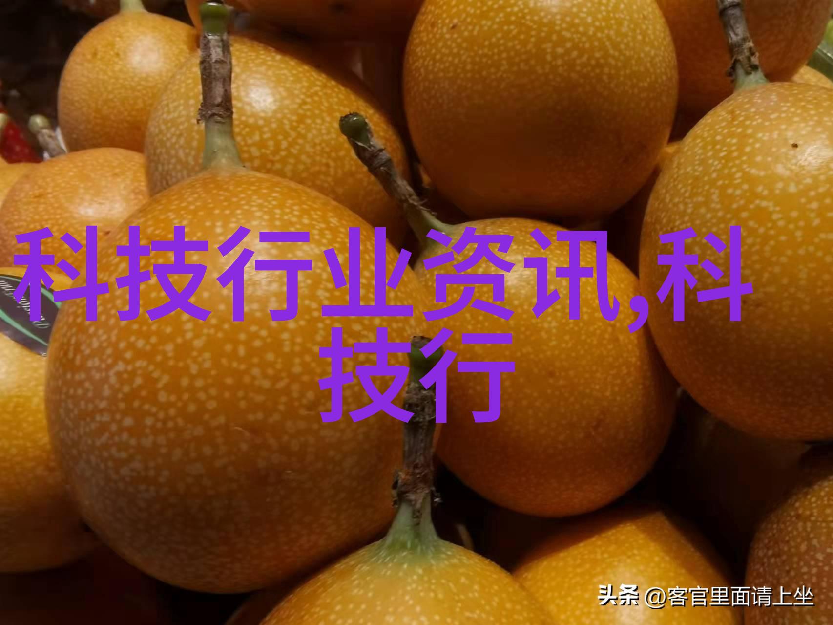 冷库安装与物流配送的智慧结合