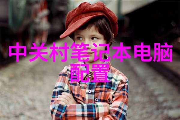私教健身全程视频总结从基础到高级的训练进阶指南